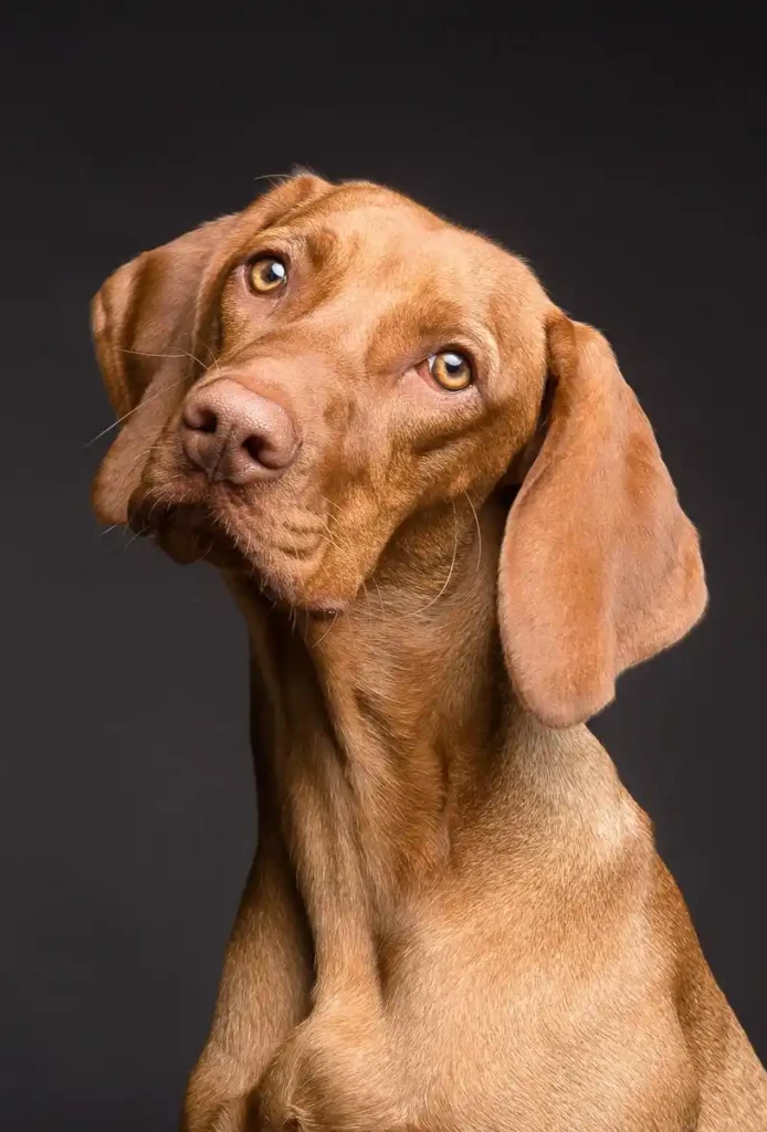 natürliche Fütterung