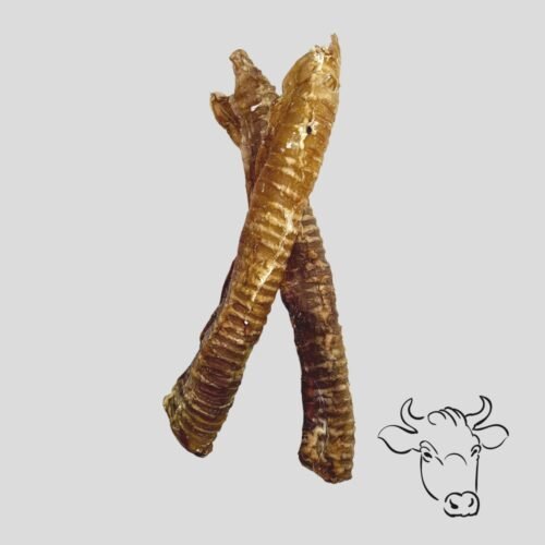 Luftröhre Rind ganz