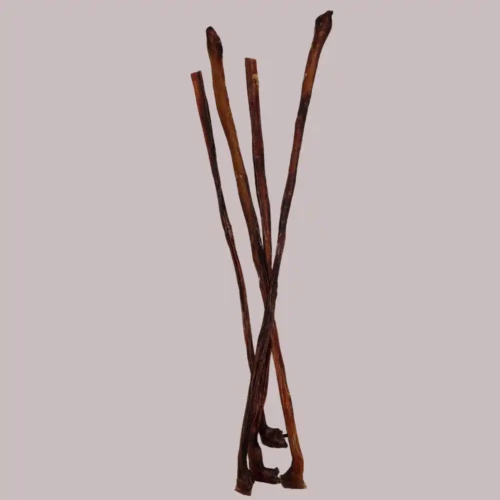 Design ohne Titel (8)