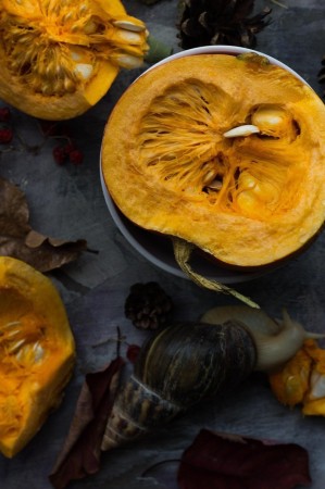 autumn, pumpkin, snail, halloween, cross section, opened, vegetables, harvest, season, nutrition, diet, health, flat lay, autumn, autumn, pumpkin, pumpkin, pumpkin, pumpkin, snail, halloween, halloween, halloween, halloween, halloween, health, health