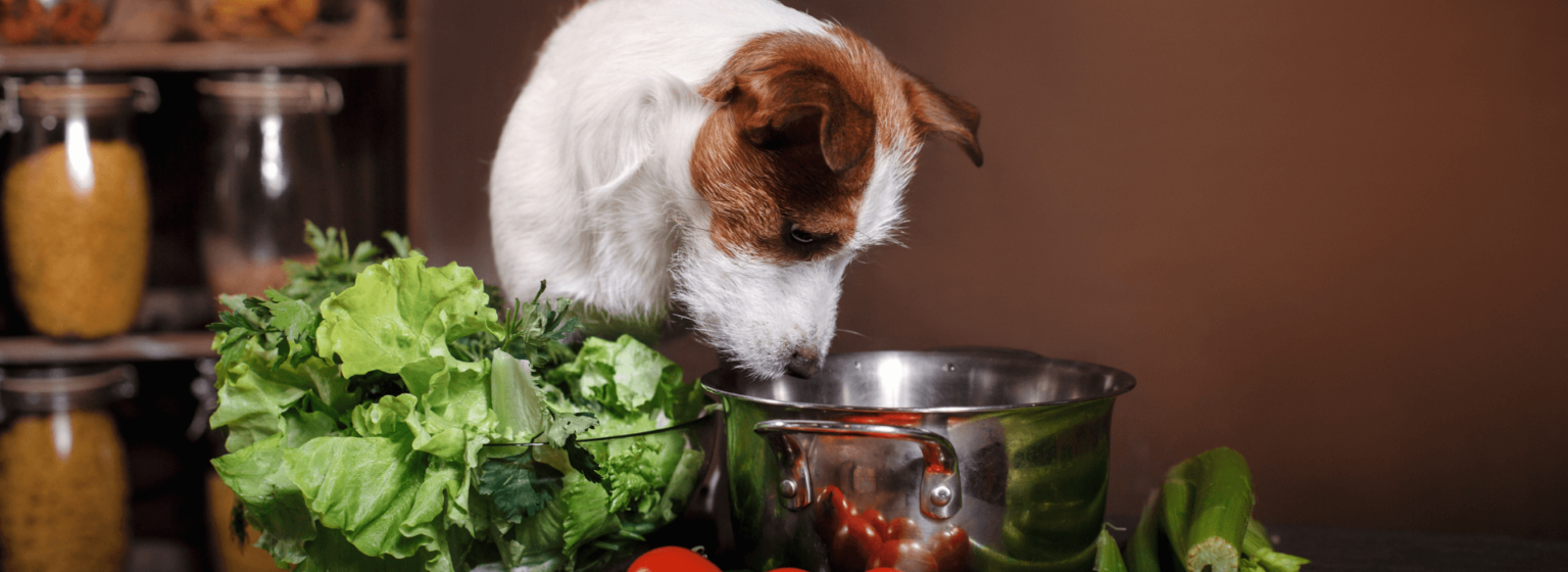 Barf Hundefutter Rezept - Schlemmermenü mit Einkaufsliste