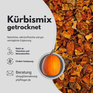 Kürbis – Bild 4