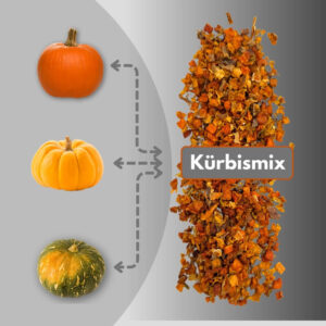 Kürbis – Bild 3