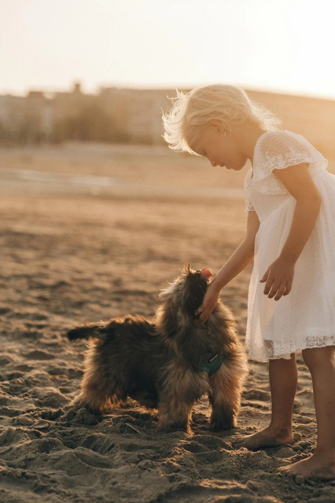 Urlaub mit Hund