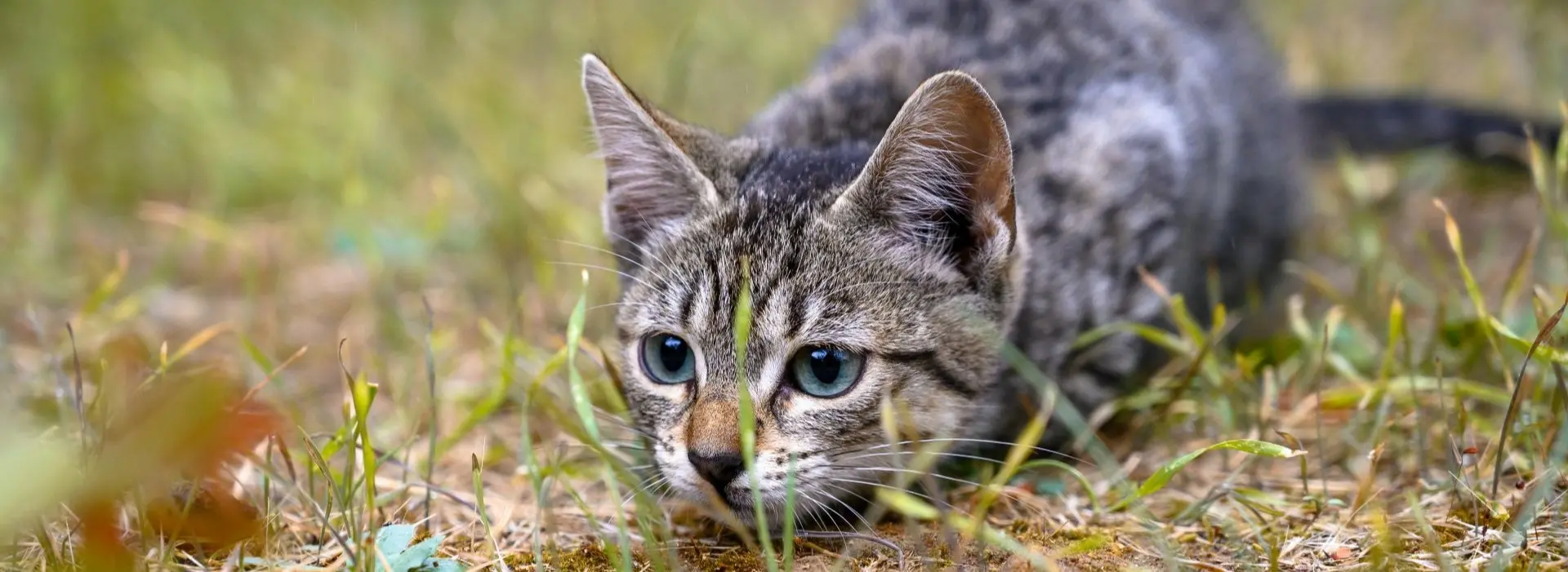 pexels-claudio-herrera-114405749-9719093