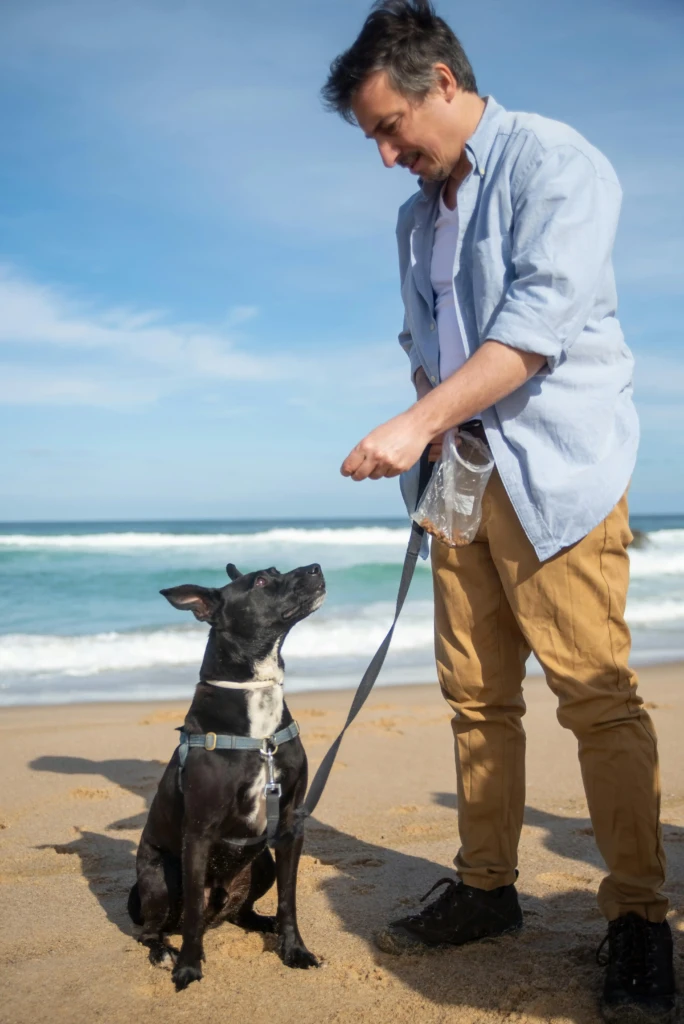 Urlaub mit Hund
