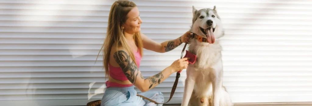 Fellwechsel beim Hund im Frühjahr